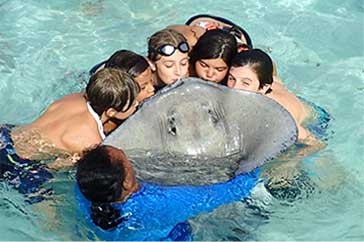 Stingray City