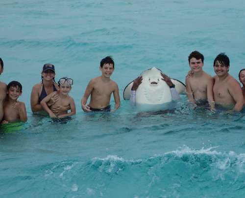 Cayman Luxury Sea Tours - Gallery 8 Cayman Luxury Sea Tours - Gallery 8